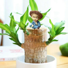 (C)Brazilian Wood Potted Plant Decoration For Home Office Decoration