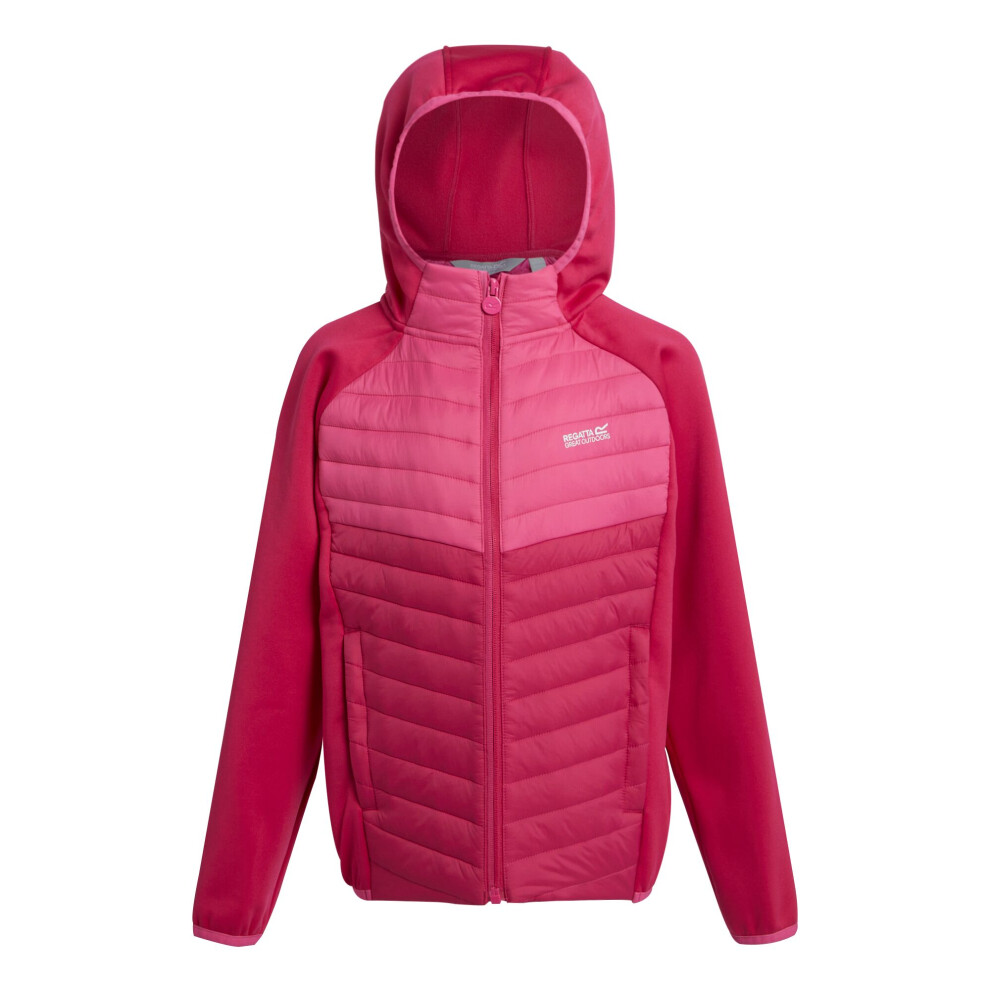 (13 Years, Pink Potion/Flamingo Pink) Regatta Childrens/Kids Kielder VIII Hybrid Jacket