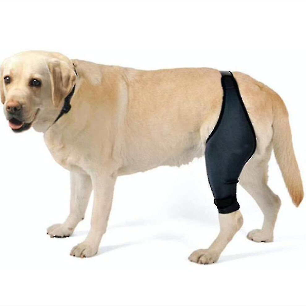(Right, L) Dog Knee Brace For Acl, Knee Cap Dislocation, Arthritis - Keeps The Joint Warm - Extra Support - Reduces Pain
