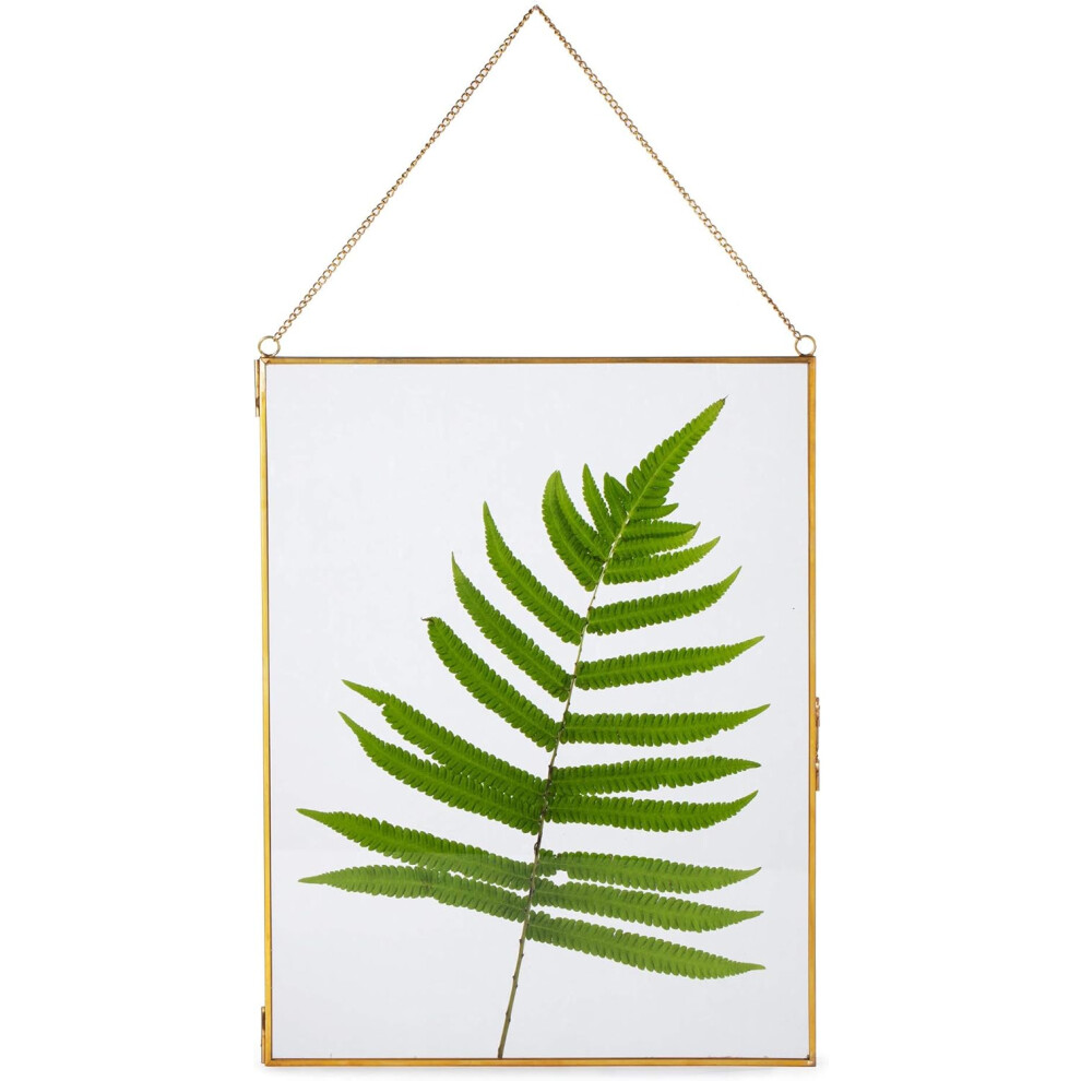 (36x28 cm) Double Glass Brass Frame for Pressed Dried Flowers, Plants Specimen, Certificate, Photo