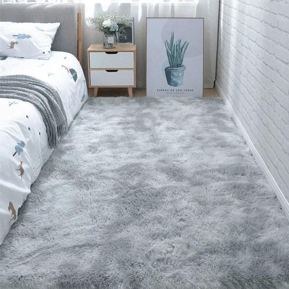 (light grey, 80*160cm) Carpet Bedroom Bedside Carpet Plush Living Room Full Floor Mat Girl Ins Room Dirty Carpet Sofa Rug Warm Large Area Cushion