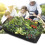 Rectangular Breathable Fabric Raised Bed for Plants and Vegetables - 0.9m x 1.8m - Black 4