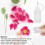 4 Pieces Pipette Bottle, Plastic Bottles, Plastic Bottle, Squeeze Bottle, Empty Glue Bottle, Precision Bottle, with Needle Tip, 5ml Empty Bottle 2