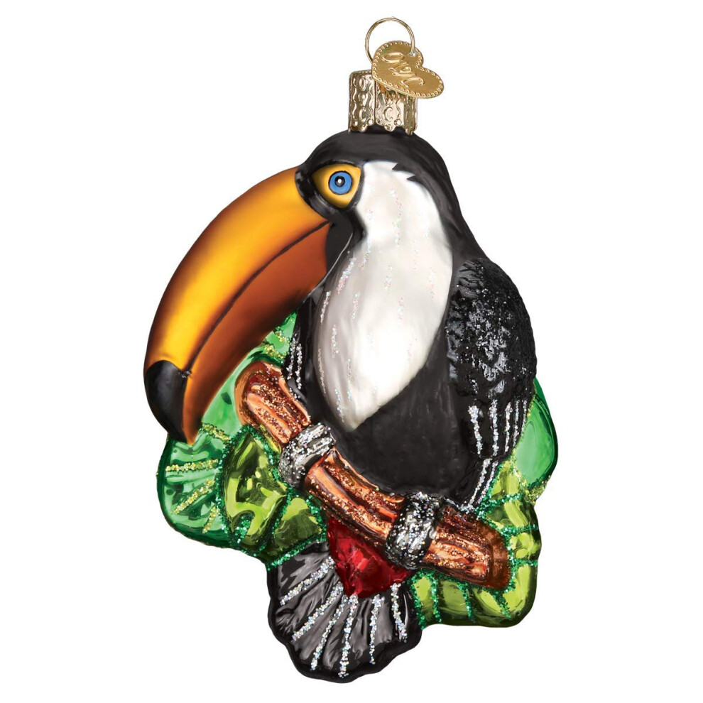 Toucan de No   l du Vieux Monde