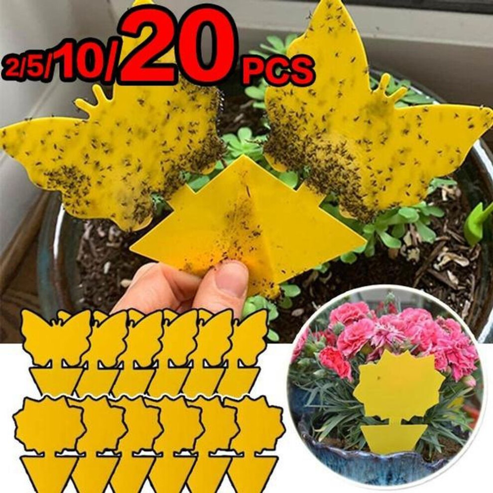 (flower-5pcs) Sticky Trap Fruit Fly And Gnat Trap Yellow Sticky Bug Traps For Indoor/outdoor Use - Insect Catcher For White Flies Mosquitos Fungus Gnats