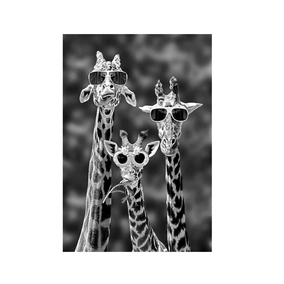 (white, 20x30cm with frame) Giraffes With Sunglasses Funny Art Posters And Prints Black And White Animals Canvas Paintings On The Wall Art Pictures Cuadros