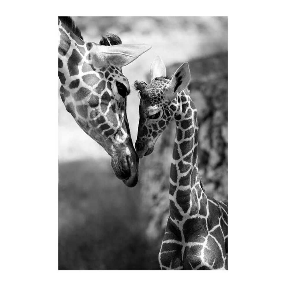 (green, 50x70cm no frame) Giraffes With Sunglasses Funny Art Posters And Prints Black And White Animals Canvas Paintings On The Wall Art Pictures Cuadros