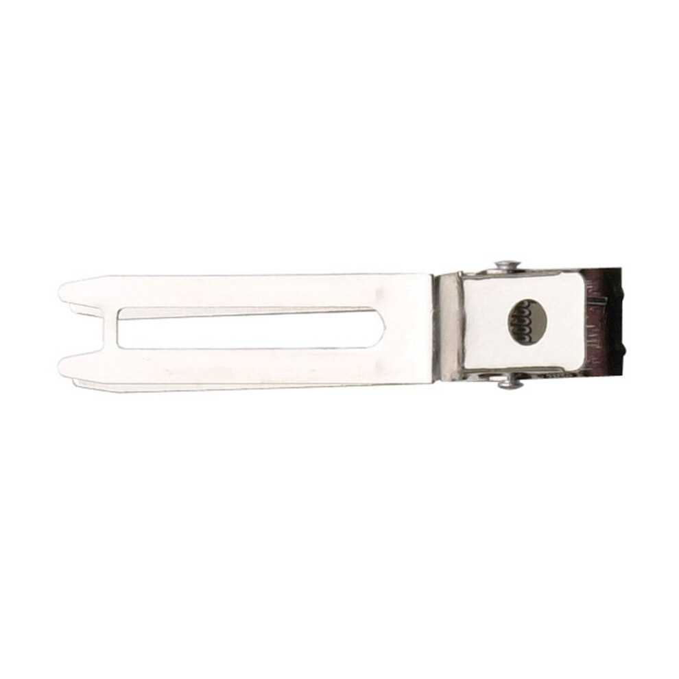 Diane 1.75" Double Prong Slide-In Clips, 80-Count