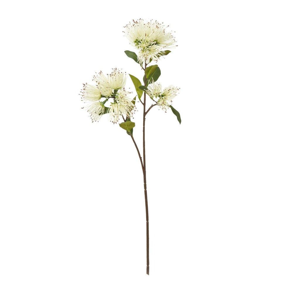 Hill Interiors Protea Nitida Stem Artificial Flower Spray
