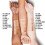 Rimmel Rimmel Stay Matte Concealer Shell 0,23 once fluide (GP-BTYE19684) 3