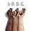 NYX Professional Makeup NYX PROFESSIONAL MAKEUP Born To Glow Radiant Concealer, Medium Coverage - Valnöt 4