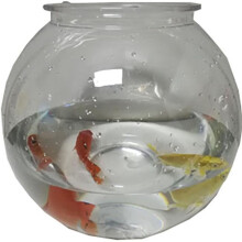 Komodo Reptile 93703 Round Plastic Fish Bowl - 2 gal - Case of 12