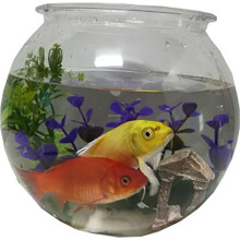 Komodo Reptile 93701 Plastic Round Fish Bowl - 1 gal - Case of 24