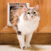 Porta per gatti PetSafe da interno: sportello per porta per animali domestici con chiusura a 2 vie - Porta per la privacy colorata per lettiera p