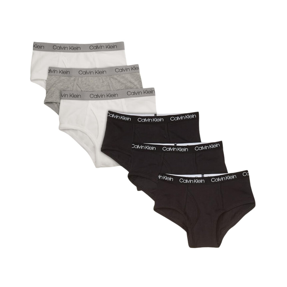 Calvin Klein Boys' Modern Cotton Assorted Briefs 6 Pack  White/Heather