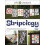 G.E. Designs Stripology Βιβλίο Μοτίβων Κουβερτών Softcover 1