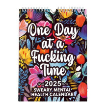 One Day at a Fucking Time 2025 Calendar, Funny Mental Health Calendar, Wall Hanging Monthly Planner