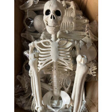 Real Size Halloween Skeleton Model Horror Bone Posable Halloween Decor