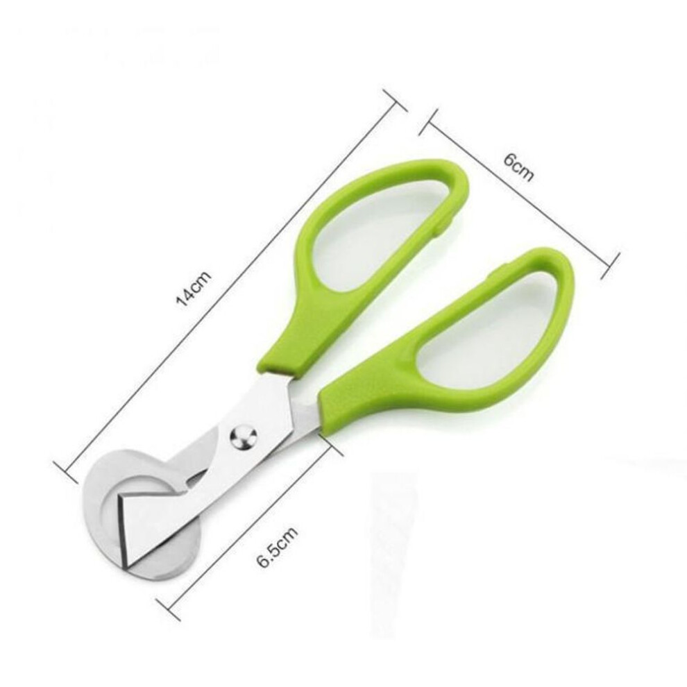 (green, One Size) (nikita) Pigeon Quail Egg Scissors Cracker Opener Cigar Cutter Stainless Steel Tool
