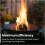 Premium Kiln-dried Kindling Fire Wood 2.4kg 6