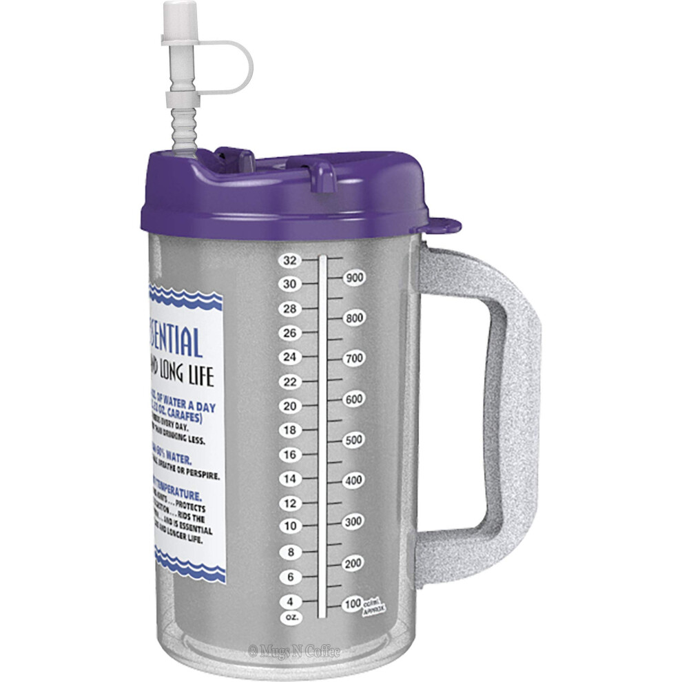 1 Isolierter Krankenhausbecher (32 Oz) Mit Violettem Deckel, Wasser-Reisebecher-image
