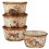 Certified International Pine Forest 16 pc Dinnerware Set  Service for 4  BROWN 5