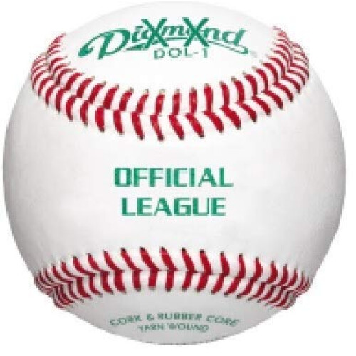 Secchio Diamond da 6 galloni con 30 Diamond DOL-1 BLEM Leather Practice Ba 1