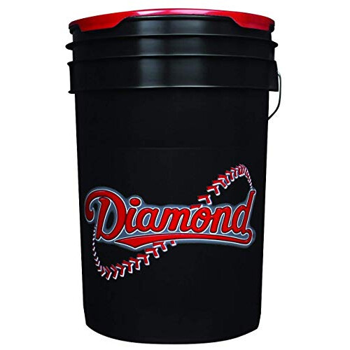 Secchio Diamond da 6 galloni con 30 Diamond DOL-1 BLEM Leather Practice Ba 2