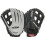 Rawlings Softball Series Glove Pro H Web 13 polegadas RSB130GBH-6/0 Black/Gray 1