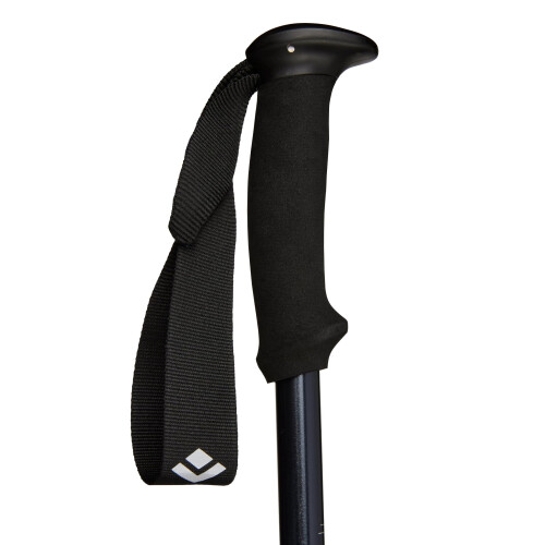 Black Diamond Bastoncini da trekking Black Diamond Explorer 2, blu inchiostro 2