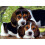 Clementoni Clementoni Close Together Puzzle (500 pezzi), multicolore, 8'' (30289.5) 2