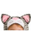 Fun World Grey Stripe Kitten spdbarnsdrkt liten 3