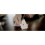 Magic Makers Απόλυτο Τρικ με Κάρτες 5