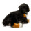 Douglas Douglas Alps Πλαστικό Λούτρινο Σκυλί Βernese Mountain Dog 2