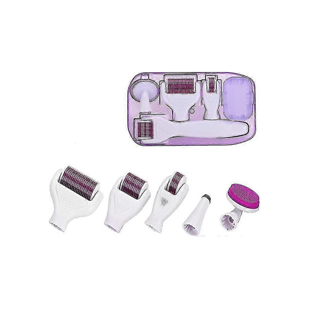6 In 1 with Stainless Steel Micro Needles,  Roller Set,  Roller Set with for Face Body Care