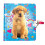 Playhouse Puppy Doodles Ημερολόγιο με Κλειδαριά και Κλειδιά για Κορίτσια 1