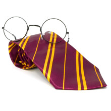 Lunettes et cravate de sorcier Skeleteen - Cravate et cravate marron et or