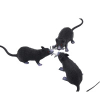 3er-Pack gefälschte Ratten, realistische Mausmodelle, Halloween-Tricks, Streiche, Requisiten, Spielzeug aus PVC