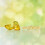 Disney Κούκλα Disney Princess Royal Shimmer Merida, Κούκλα Μόδας με Φούστα και Αξεσουάρ 2