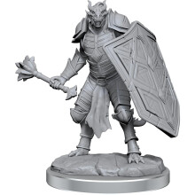 Dungeons & Dragons Nolzur`s fantastiske umalede miniatyrer: W18 Dragonborn Clerics