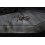 NECA NECA - Universal Monsters - Dracula Action Figure Accessory Set 5