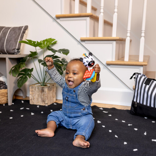 baby einstein Jouet de dentition Baby Einstein Shake-a-Shape Zen multisensoriel     partir de 3 mois 2