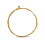 Aurora Bass Strings 4 gauge guld 1