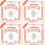 Pirastro Tonica Violin-Set 1/2 + 3/4 1