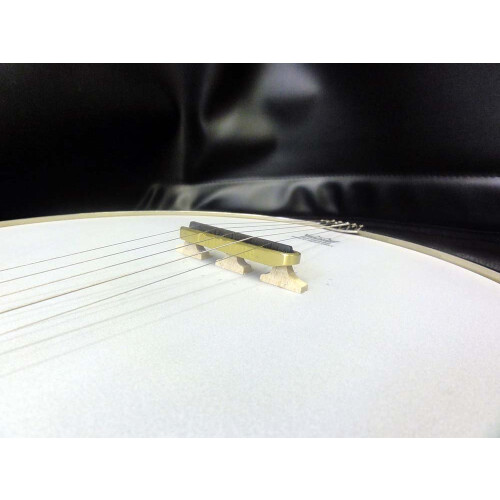 Guld tone ultimative banjo stum 2