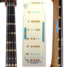 Fantastisk fingerguide fr cellos strngade musikinstrument fingerbrda och fretboard klistermrken fr att lra sig alla anteckningar barn/vuxen