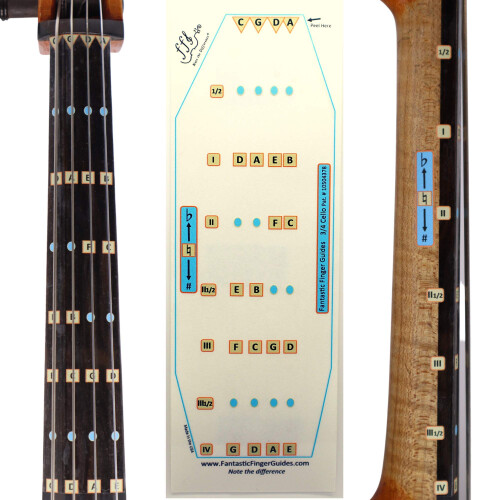 Fantastic Finger Guide for Cellos  Stringed Musical Instruments  Finge