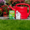 Weedol Weedol Lawn Weedkiller Concentrate 250m2 500ml Dandelion Weed Control 3