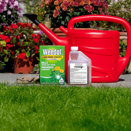 Weedol Weedol Lawn Weedkiller Concentrate 250m2 500ml Dandelion Weed Control 2