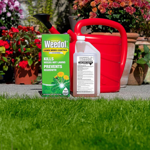 Weedol Weedol Lawn Weedkiller Concentrate 500m2 1L Dandelion Weed Control 2
